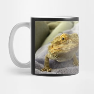 Drako the dragon Mug